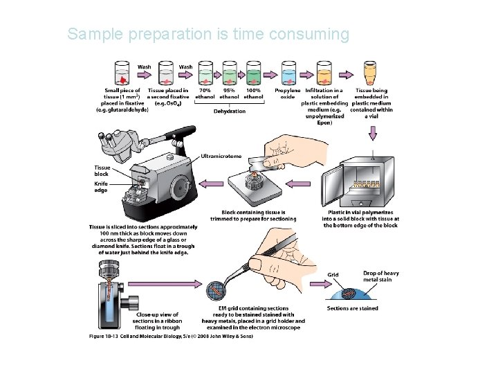 Sample preparation is time consuming 