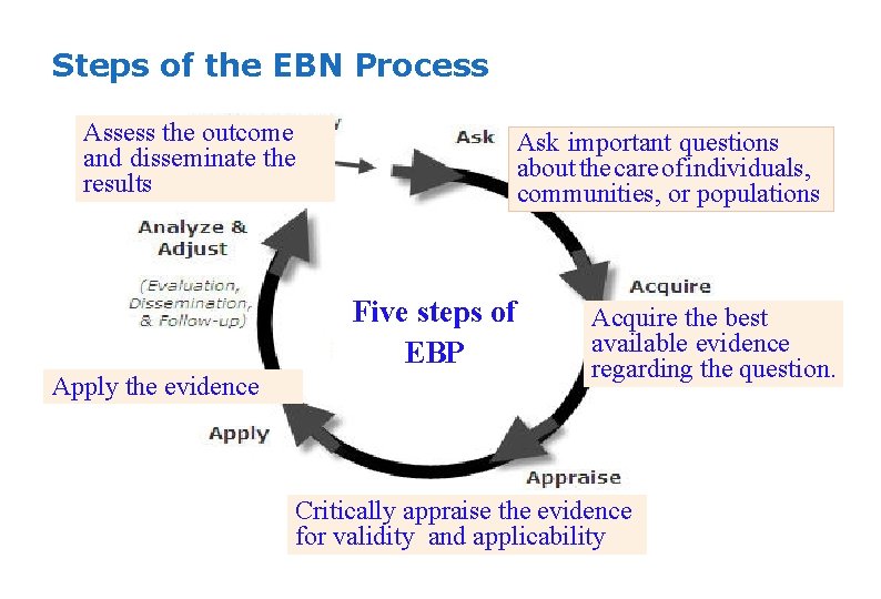 Steps of the EBN Process Assess the outcome and disseminate the results Ask important