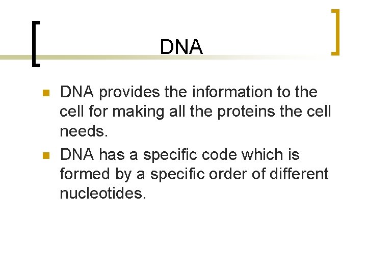 DNA n n DNA provides the information to the cell for making all the