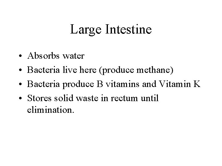 Large Intestine • • Absorbs water Bacteria live here (produce methane) Bacteria produce B