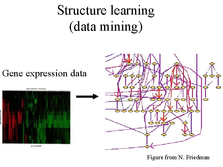 Structure learning (data mining) Gene expression data Figure from N. Friedman 