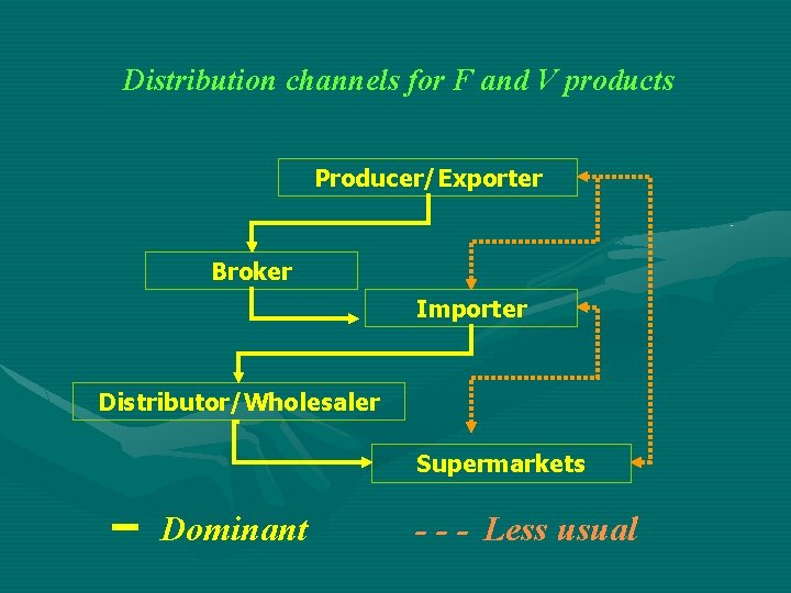 Distribution channels for F and V products Producer/Exporter Broker Importer Distributor/Wholesaler Supermarkets Dominant -