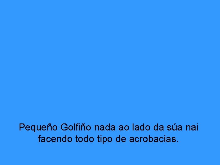 Pequeño Golfiño nada ao lado da súa nai facendo todo tipo de acrobacias. 