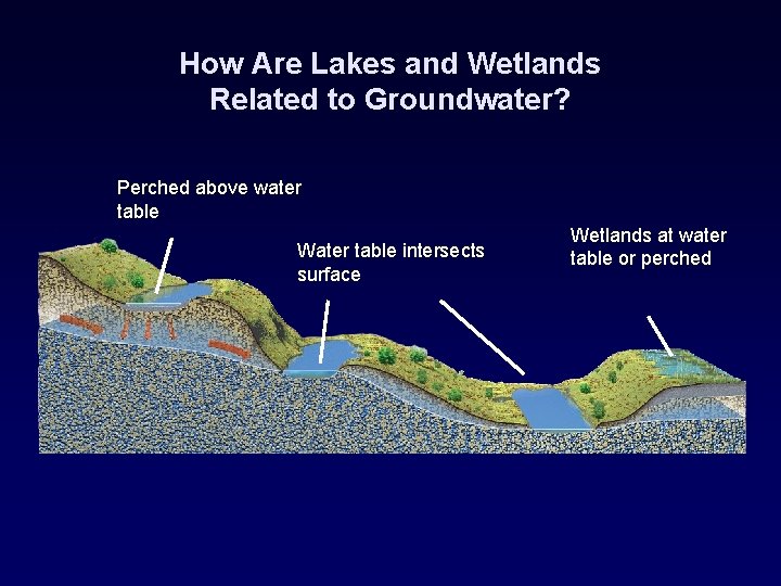 How Are Lakes and Wetlands Related to Groundwater? Perched above water table Water table