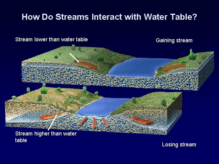 How Do Streams Interact with Water Table? Stream lower than water table Stream higher
