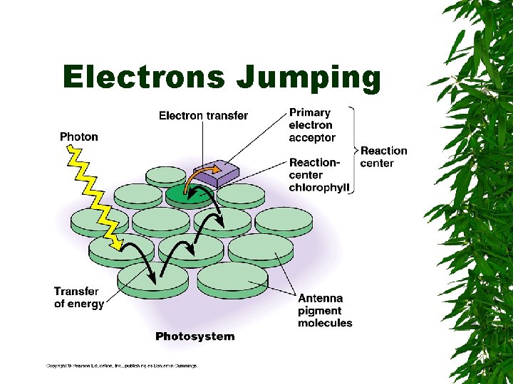 Electrons Jumping 