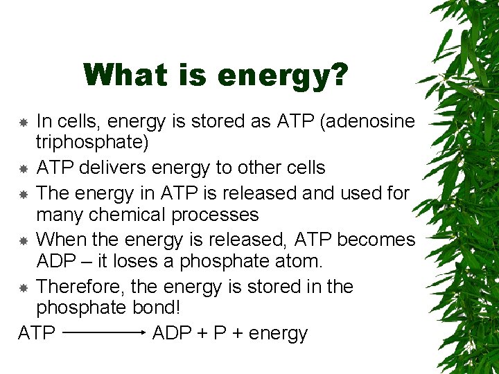 What is energy? In cells, energy is stored as ATP (adenosine triphosphate) ATP delivers