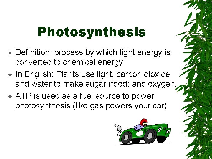 Photosynthesis Definition: process by which light energy is converted to chemical energy In English: