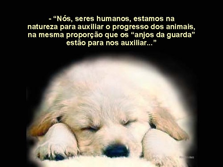 - “Nós, seres humanos, estamos na natureza para auxiliar o progresso dos animais, na