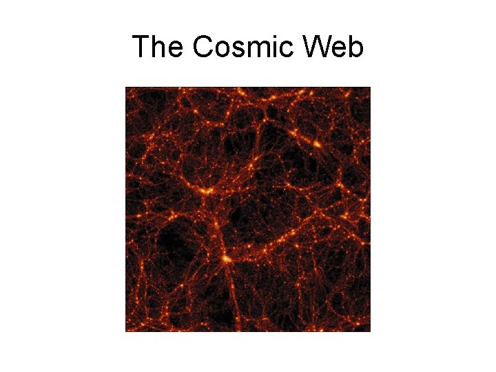 The Cosmic Web 