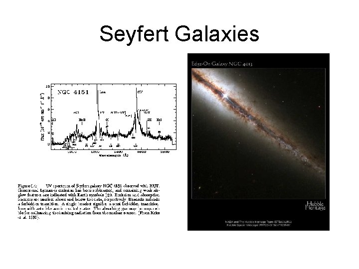 Seyfert Galaxies 