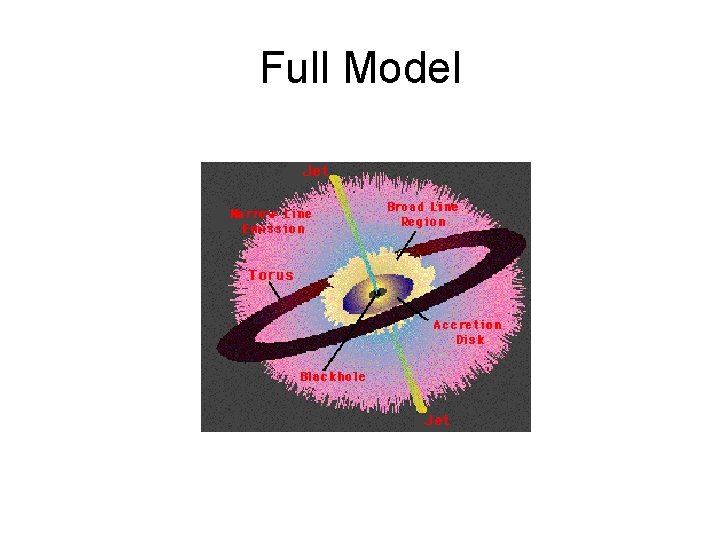 Full Model 