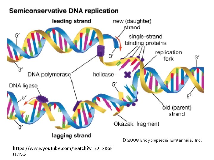 https: //www. youtube. com/watch? v=27 Tx. Ko. F U 2 Nw 