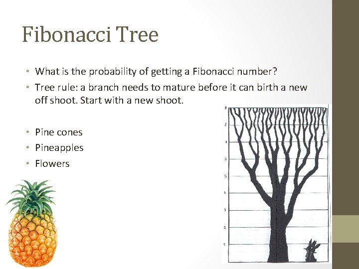 Fibonacci Tree • What is the probability of getting a Fibonacci number? • Tree Fibonacci Tree • What is the probability of getting a Fibonacci number? • Tree