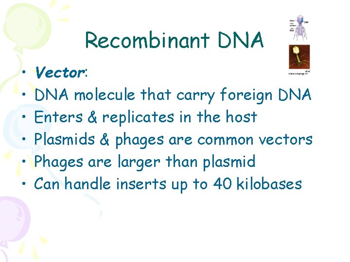 Recombinant DNA • • • Vector: DNA molecule that carry foreign DNA Enters &