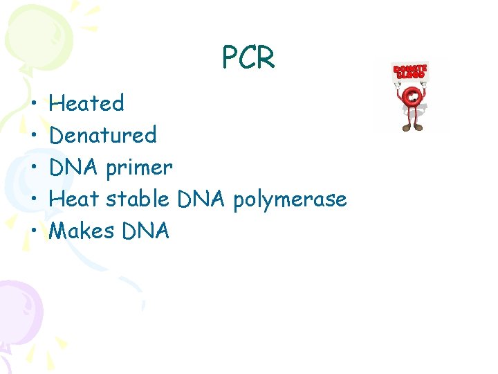 PCR • • • Heated Denatured DNA primer Heat stable DNA polymerase Makes DNA