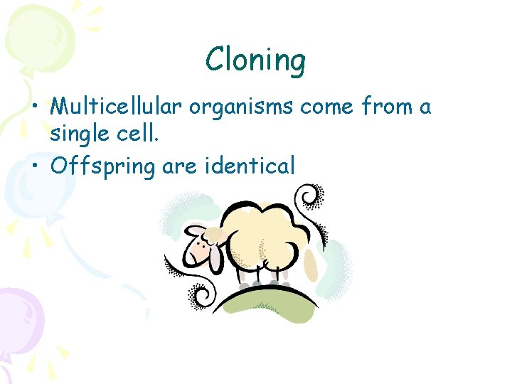 Cloning • Multicellular organisms come from a single cell. • Offspring are identical 