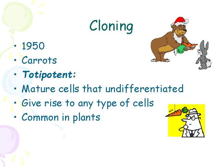 Cloning • • • 1950 Carrots Totipotent: Mature cells that undifferentiated Give rise to