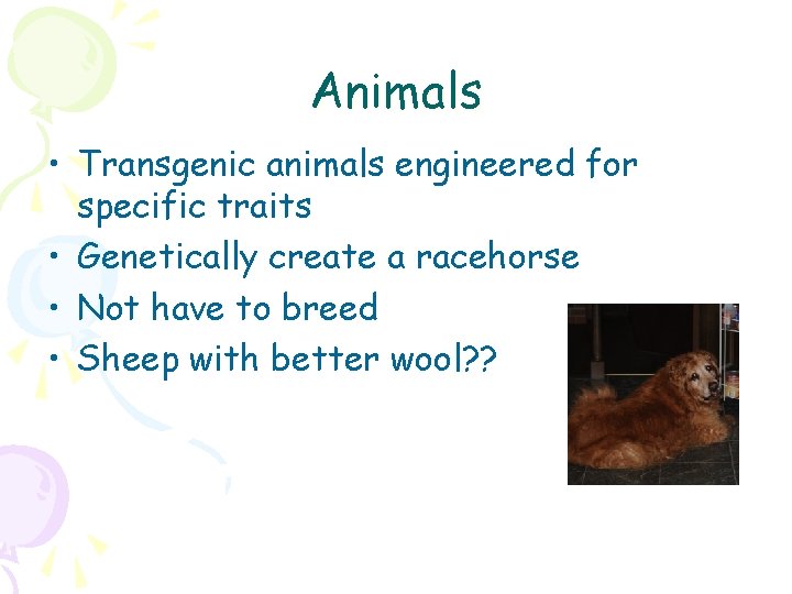 Animals • Transgenic animals engineered for specific traits • Genetically create a racehorse •