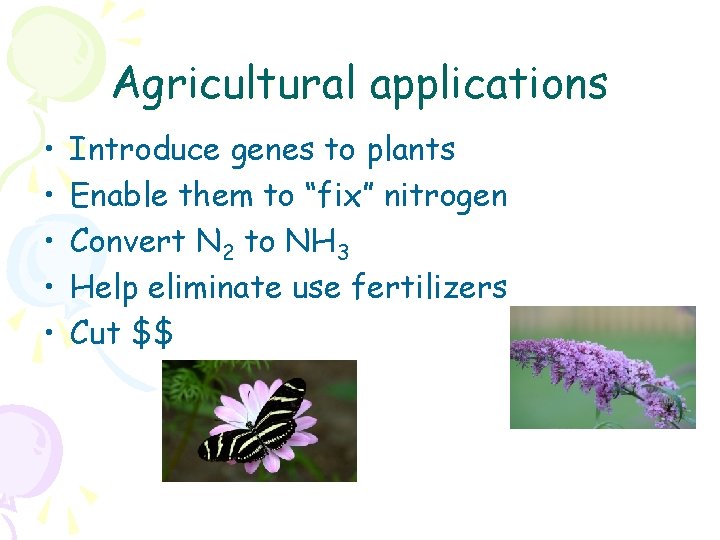 Agricultural applications • • • Introduce genes to plants Enable them to “fix” nitrogen