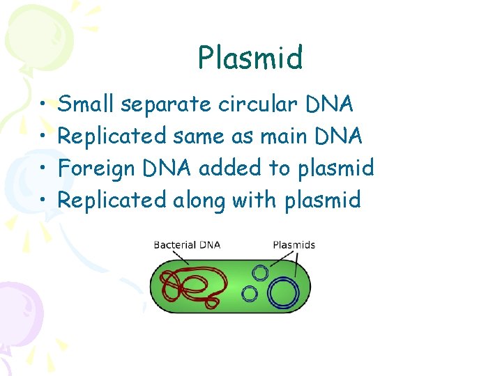 Plasmid • • Small separate circular DNA Replicated same as main DNA Foreign DNA