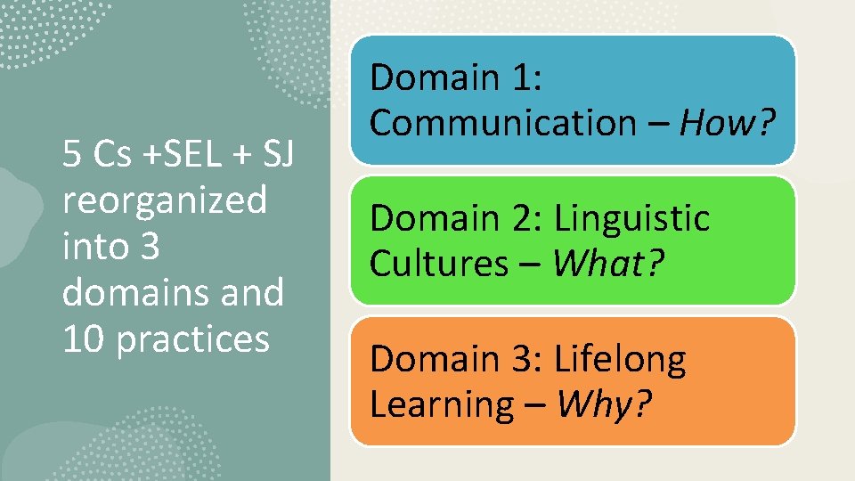 5 Cs +SEL + SJ reorganized into 3 domains and 10 practices Domain 1: