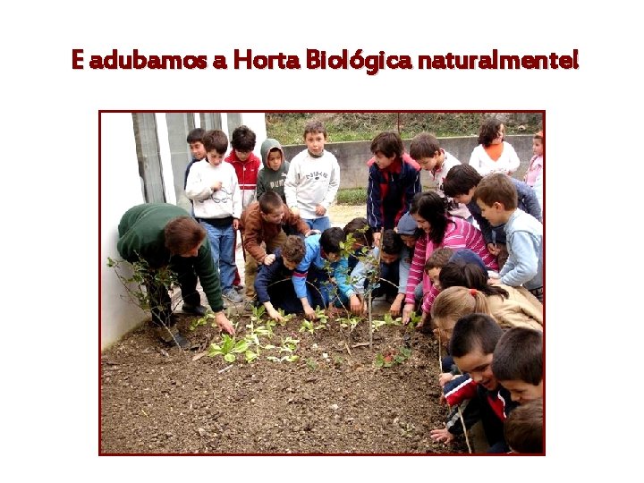 E adubamos a Horta Biológica naturalmente! 