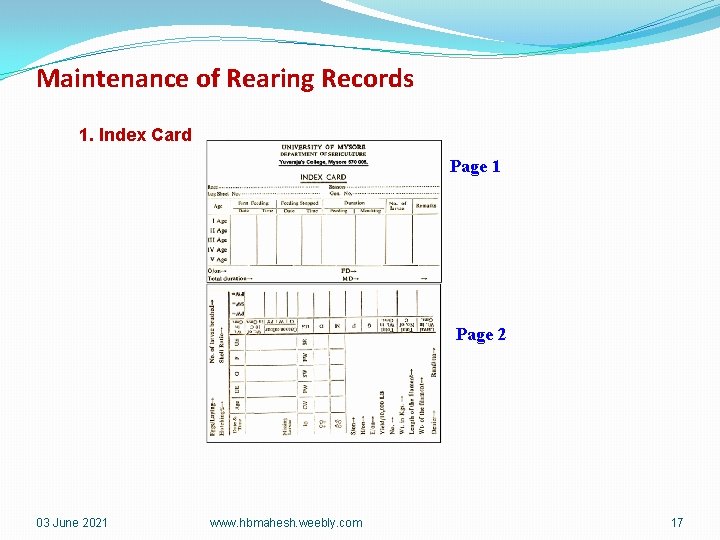 Maintenance of Rearing Records 1. Index Card Page 1 Page 2 03 June 2021