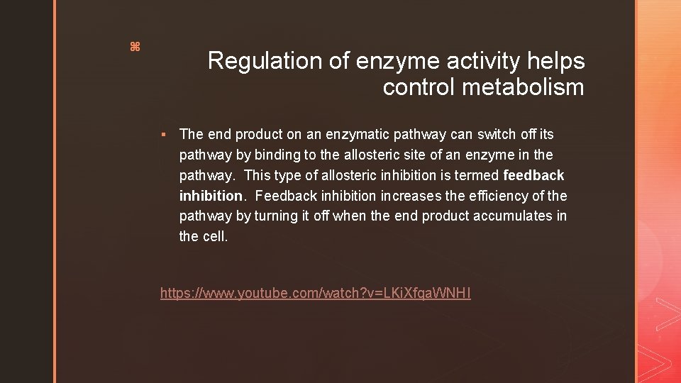 z Regulation of enzyme activity helps control metabolism § The end product on an