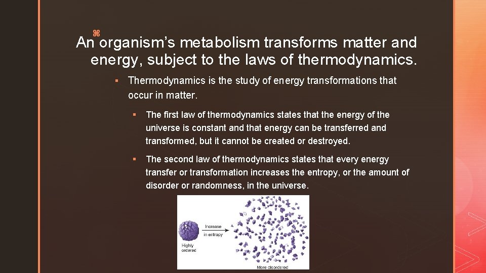 z An organism’s metabolism transforms matter and energy, subject to the laws of thermodynamics.