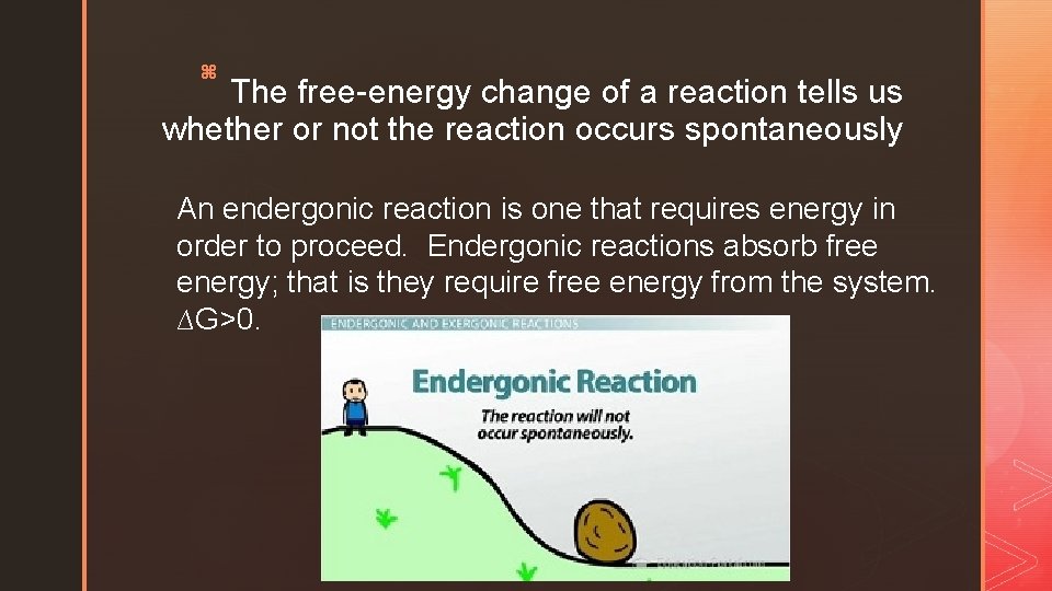 z The free-energy change of a reaction tells us whether or not the reaction