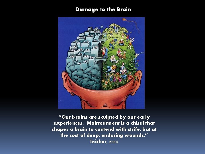 Damage to the Brain “Our brains are sculpted by our early experiences. Maltreatment is
