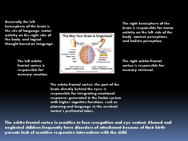 Generally the left hemisphere of the brain is the site of language, motor activity