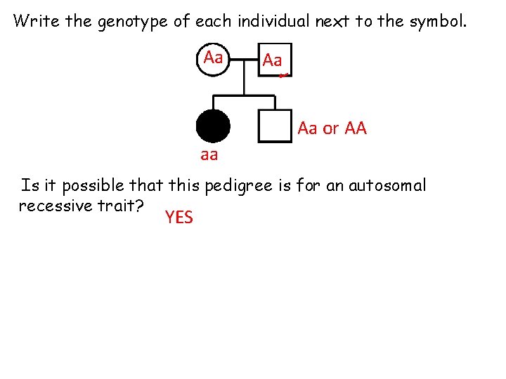 Write the genotype of each individual next to the symbol. Aa Aa Aa or