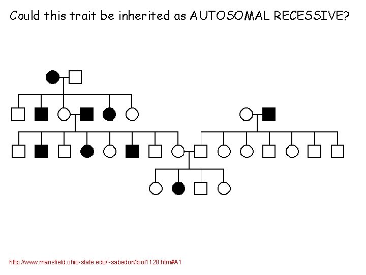 Could this trait be inherited as AUTOSOMAL RECESSIVE? http: //www. mansfield. ohio-state. edu/~sabedon/biol 1128.