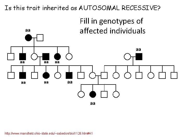 Is this trait inherited as AUTOSOMAL RECESSIVE? Fill in genotypes of affected individuals aa