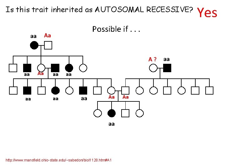 Is this trait inherited as AUTOSOMAL RECESSIVE? Possible if. . . Aa aa A?