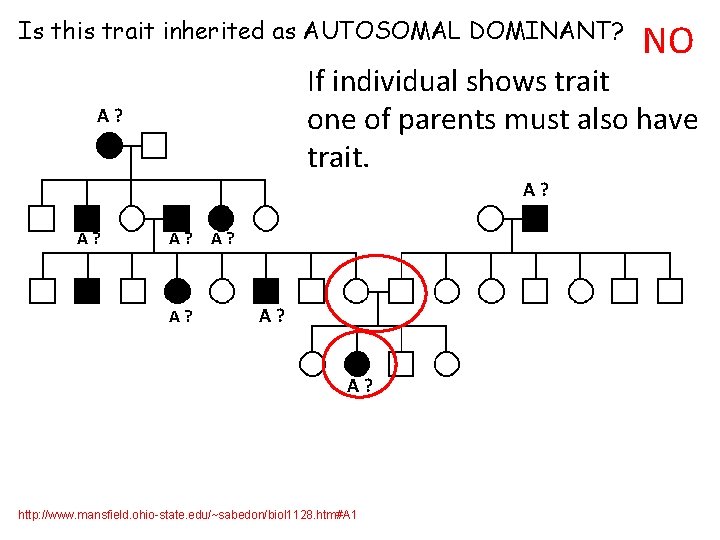 Is this trait inherited as AUTOSOMAL DOMINANT? If individual shows trait one of parents