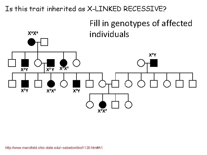 Is this trait inherited as X-LINKED RECESSIVE? Fill in genotypes of affected individuals Xa.