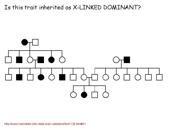 Is this trait inherited as X-LINKED DOMINANT? http: //www. mansfield. ohio-state. edu/~sabedon/biol 1128. htm#A