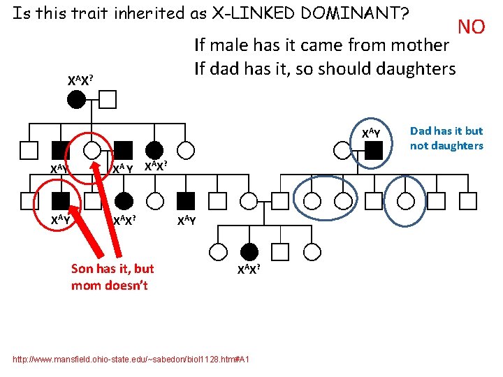 Is this trait inherited as X-LINKED DOMINANT? If male has it came from mother