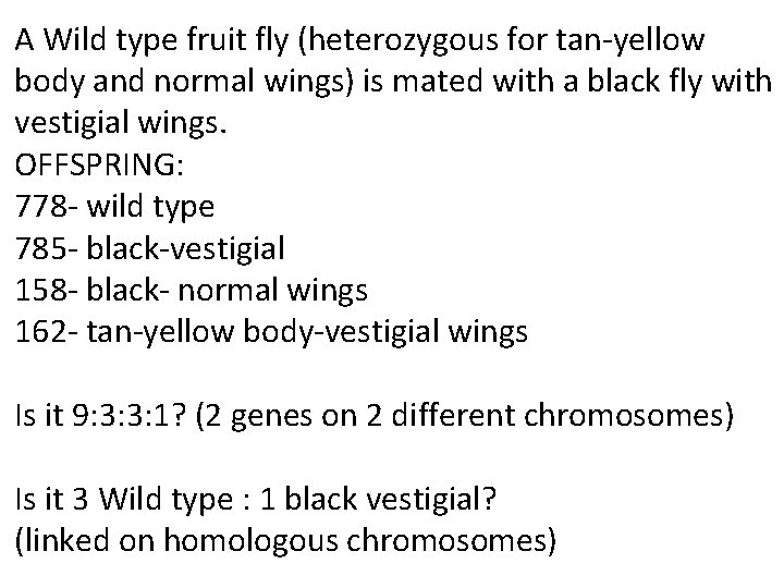 A Wild type fruit fly (heterozygous for tan-yellow body and normal wings) is mated