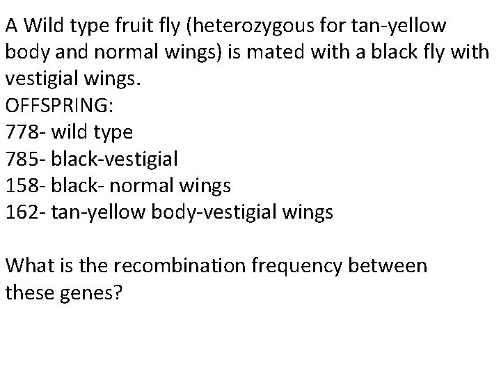 A Wild type fruit fly (heterozygous for tan-yellow body and normal wings) is mated