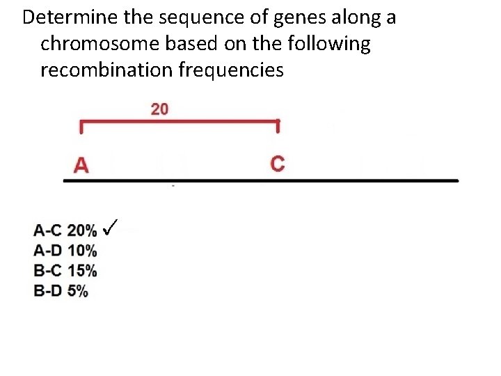 Determine the sequence of genes along a chromosome based on the following recombination frequencies