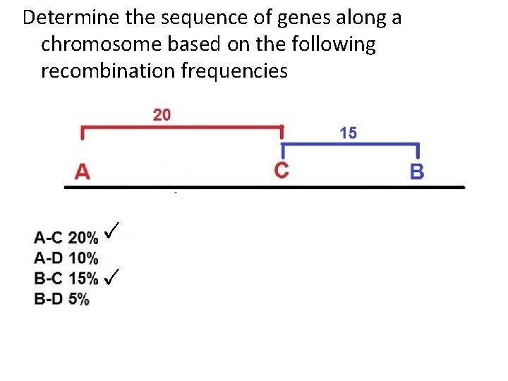 Determine the sequence of genes along a chromosome based on the following recombination frequencies