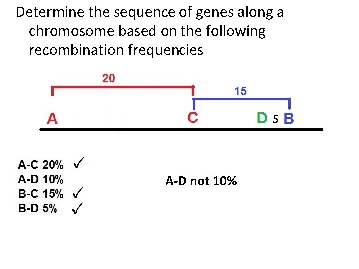 Determine the sequence of genes along a chromosome based on the following recombination frequencies