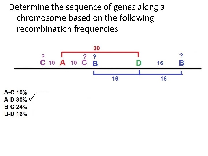 Determine the sequence of genes along a chromosome based on the following recombination frequencies