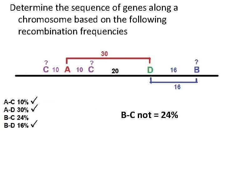 Determine the sequence of genes along a chromosome based on the following recombination frequencies