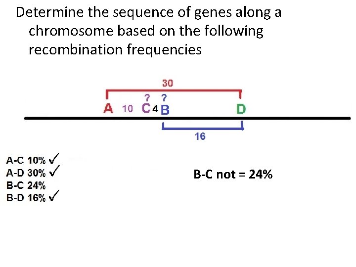 Determine the sequence of genes along a chromosome based on the following recombination frequencies