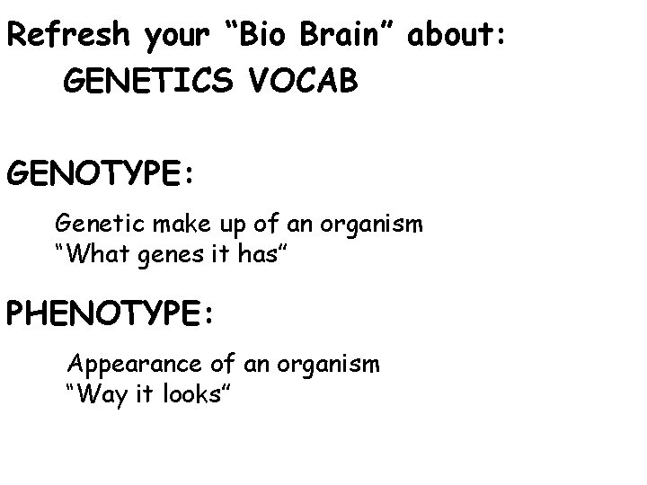 Refresh your “Bio Brain” about: GENETICS VOCAB GENOTYPE: Genetic make up of an organism